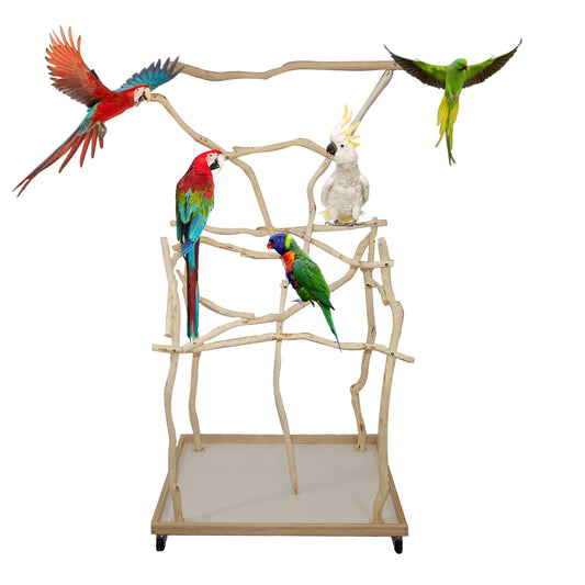 Small Parrot Stand - 2Ft x 2.85Ft Base 4Ft Height