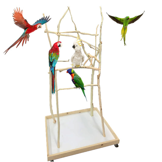 XS Bird Stand - 24 × 36 Ft Base 4Ft Height
