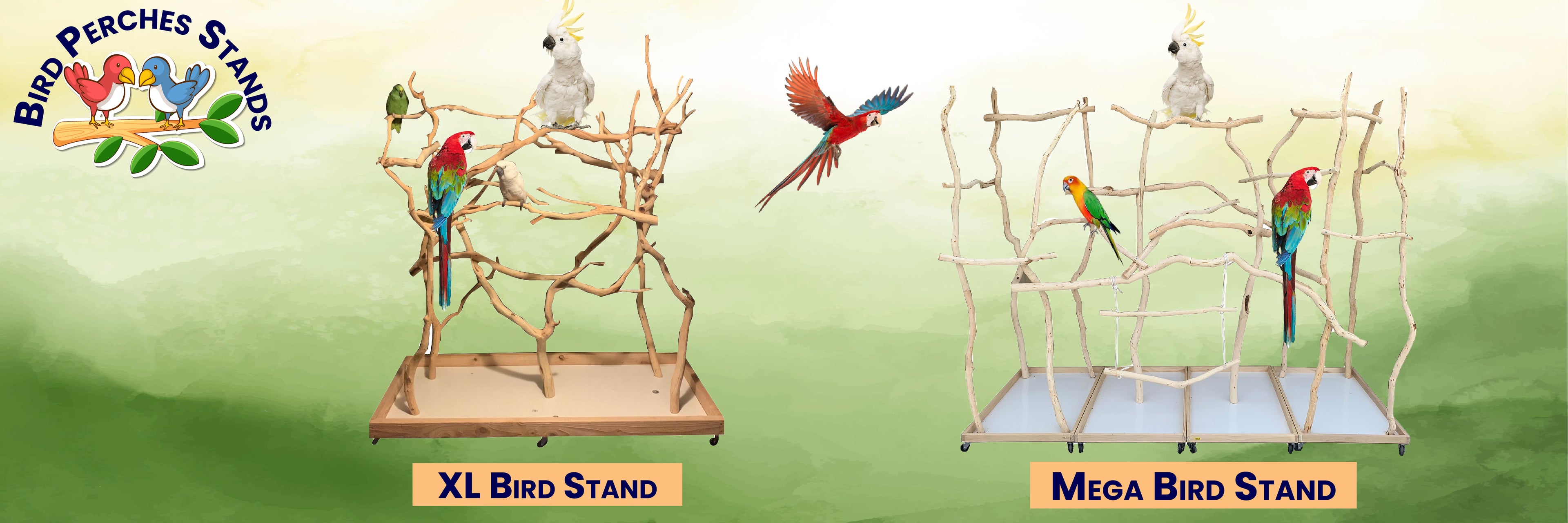 Exoticdad XL Bird Stand - Sanded Wood Perches for XL Birds Uniquely -  Handmade Assembled Bird Perches Stand 